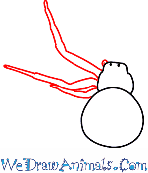 300x350 How To Draw A Crab Spider