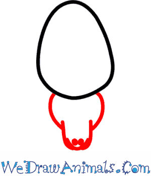 300x350 How To Draw A Garden Spider