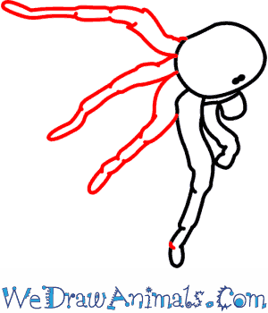 300x350 How To Draw A Goliath Bird Eating Spider