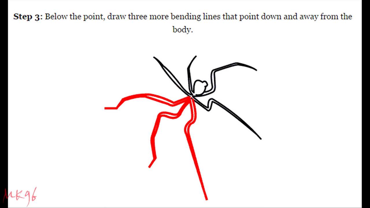 1280x720 How To Draw A Sea Spider