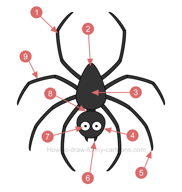 600x634 How To Draw A Spider Clip Art