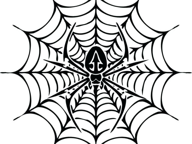 640x480 Simple Spider Web Drawing Image Titled Draw A Spider Web Step