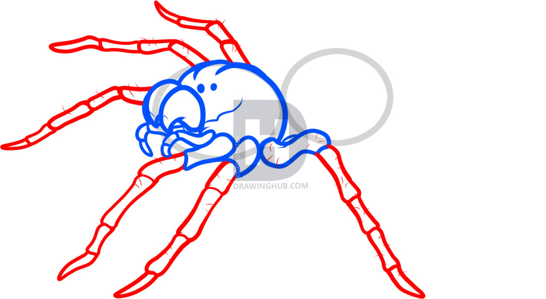 1080x593 How To Draw A Spider Tattoo, Tattoo Spider, Step