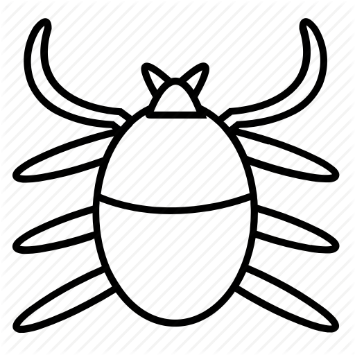 512x512 Drawing Insect Spider Transparent Png Clipart Free Download