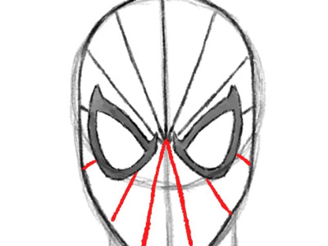 640x480 Drawn Spider Line Drawing