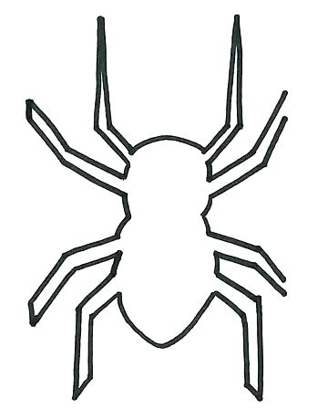 360x460 Easy Spider Drawing Nip