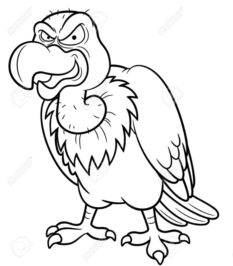 896x1024 Excellent Vulture Coloring Pages Vultures Free Colouring Spider