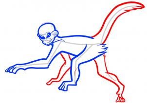 302x212 Drawing Printout How To Draw A Spider Monkey, Spider Monkey