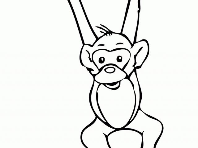 640x480 Free Spider Monkey Clipart, Download Free Clip Art