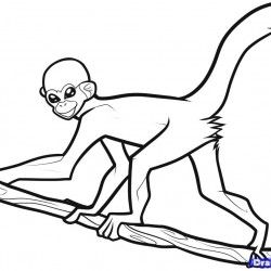 250x250 Pin Spider Monkey Coloring Pages Animal Related Pictures Hanging