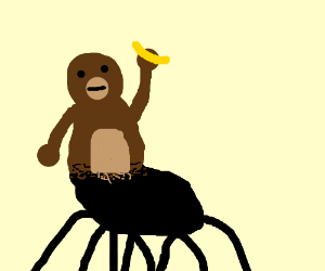 300x250 Literal Spider Monkey