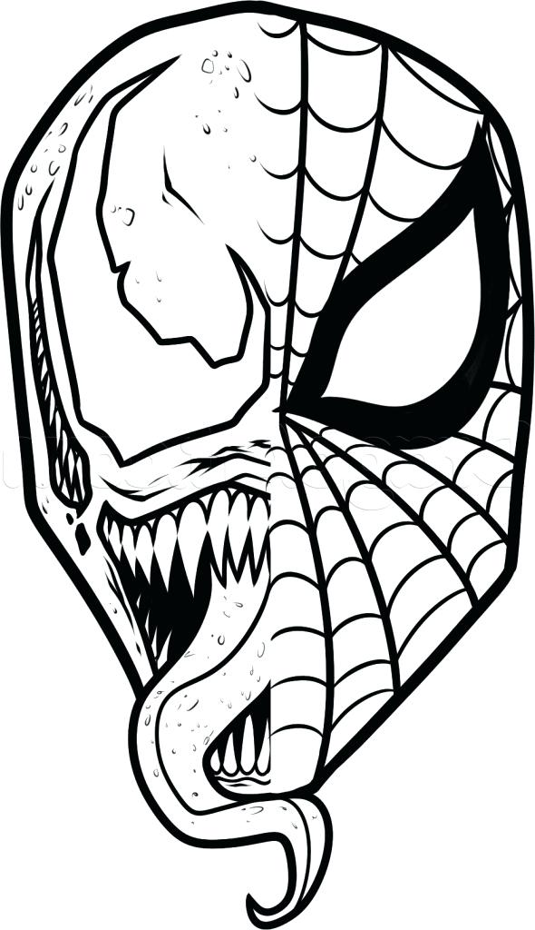 Spider On Web Drawing | Free download on ClipArtMag