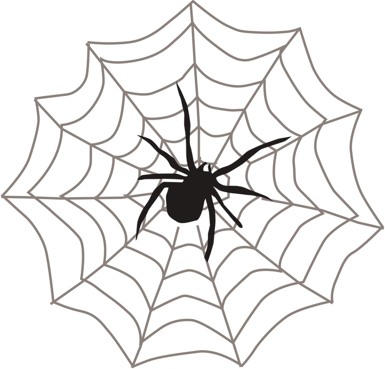 752x720 Hd Teia Spider Man Png
