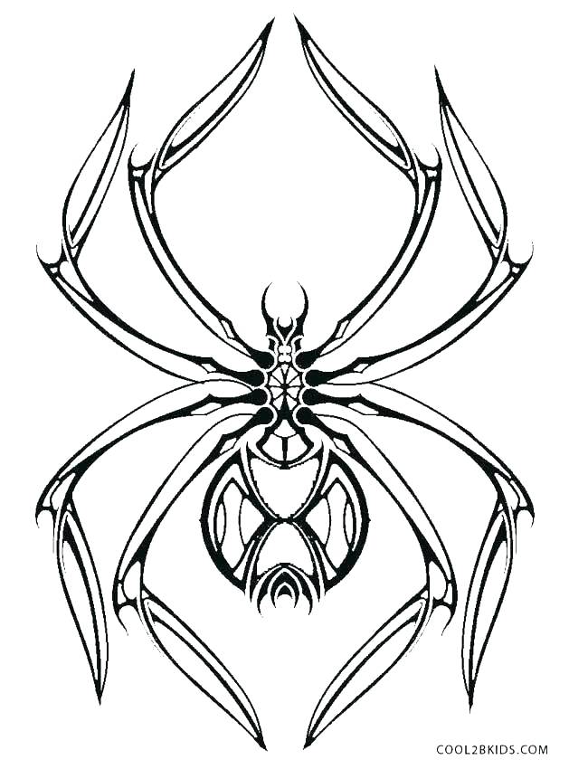 629x850 Halloween Spider Coloring Pages Spider Coloring Pages Spider