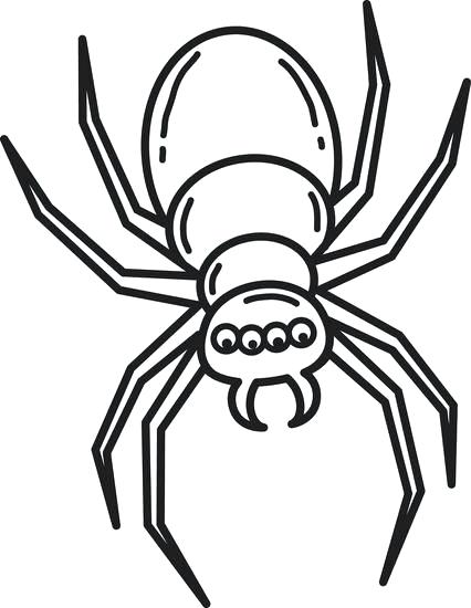426x550 Easy Spider Drawing