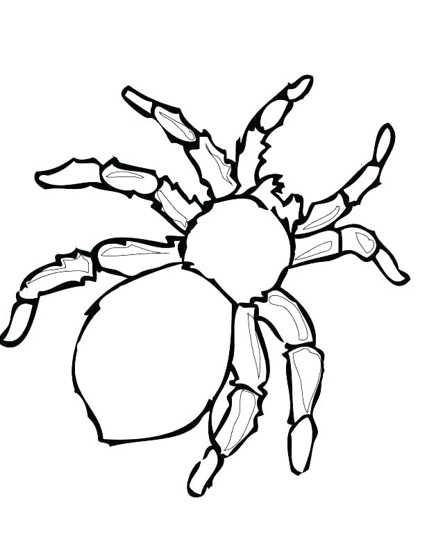 615x796 Draw A Spider Draw Spider How To Draw Spiderman Logo Easy
