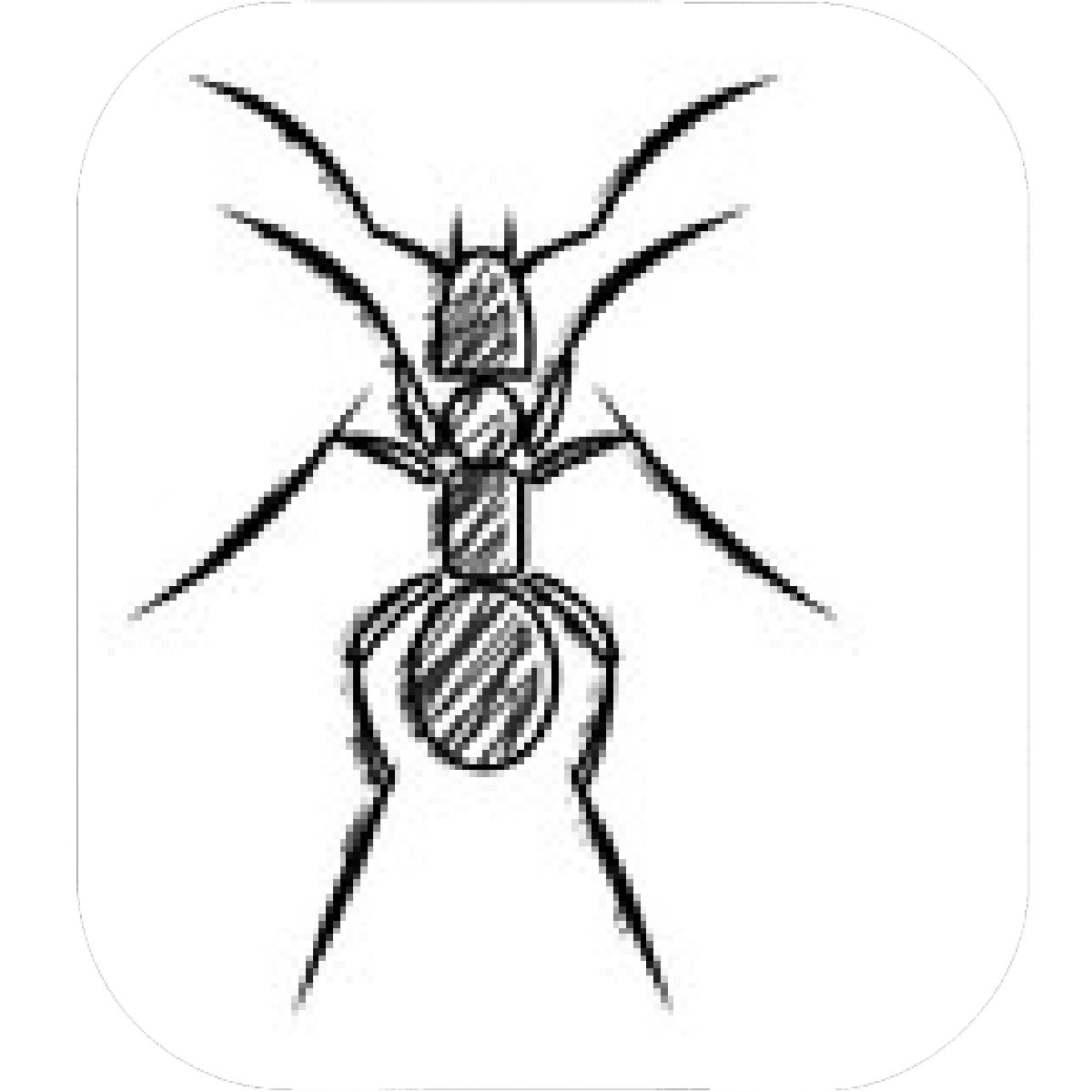 1200x1200 Designs Mein Mousepad Design Mousepad Selbst Designen