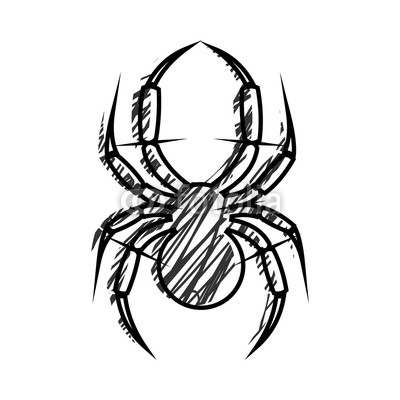 400x400 Graphic Vector Illustration Of Insect, Black And White Hand Drawn