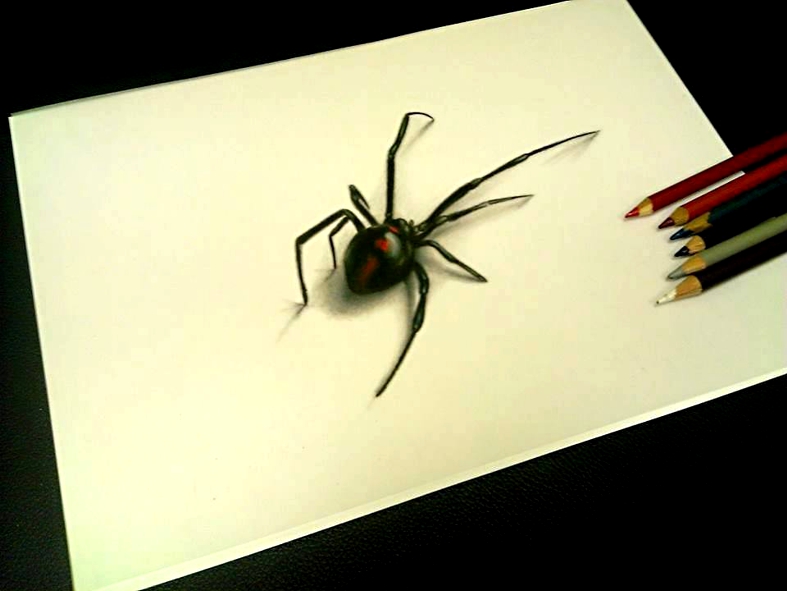 787x591 Realistic Redback Spider Pencil Drawing Soular Tattoo