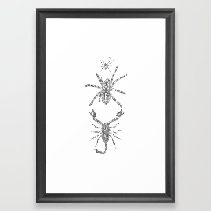 700x700 Spider Drawing