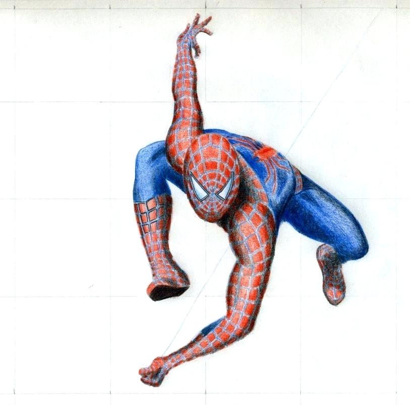813x804 Spiderman Drawing Color
