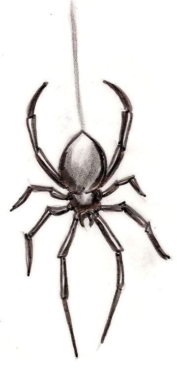 360x766 Black Widow Spider Tattoo