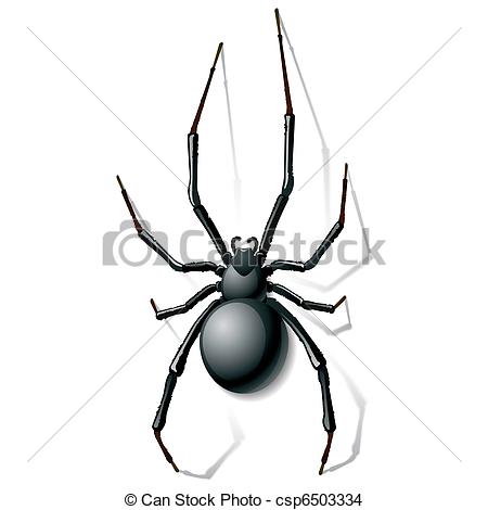 450x470 Collection Of 'black Widow Spider Drawing' Download More Than