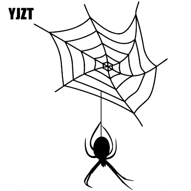 640x640 Spiderweb Cartoon