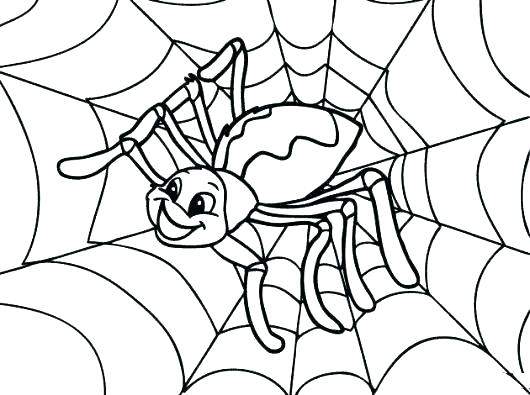 530x395 Spider Web Coloring Pictures