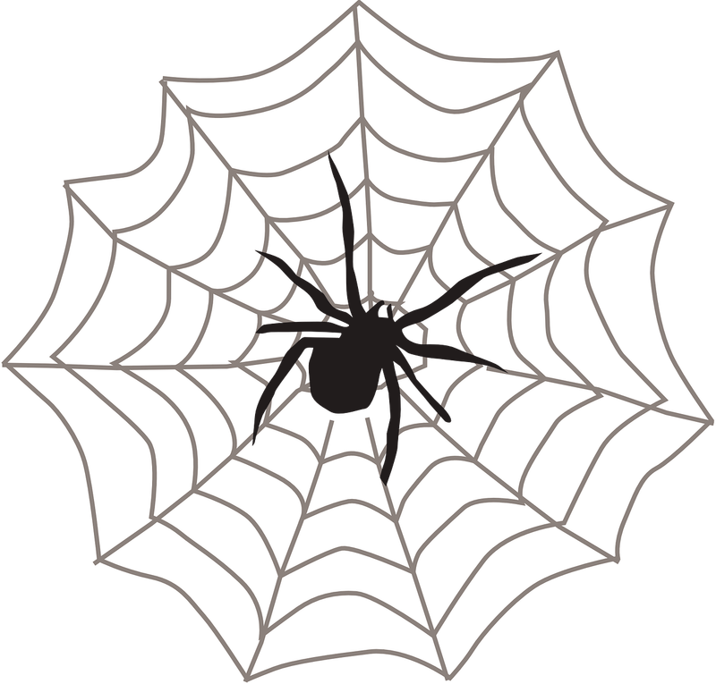 800x765 Drawing Details Spider Web Transparent Png Clipart Free Download