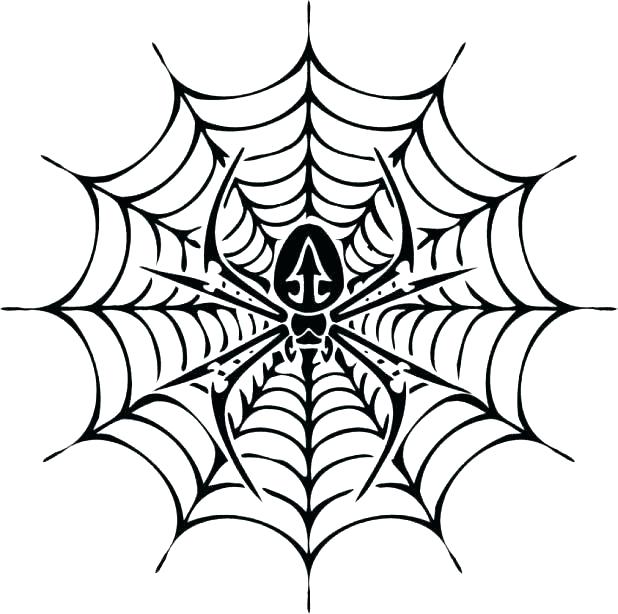 618x614 Spider Web Drawing For Kids How To Draw A Spider Web Drawing