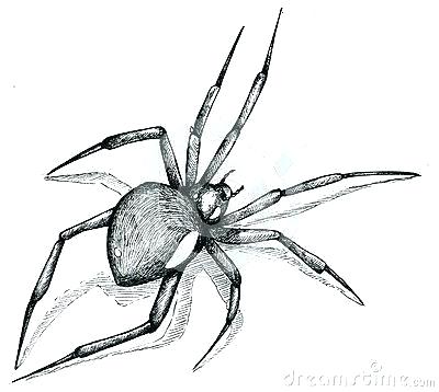 Spider Web Drawing | Free download on ClipArtMag