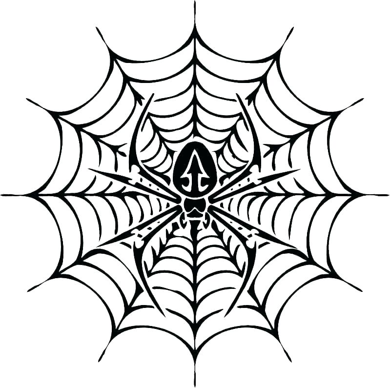 799x795 Halloween Spider Coloring Pages Spider Coloring