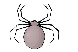300x200 How To Draw A Easy Spider Image Titled Draw A Spider Step Easy