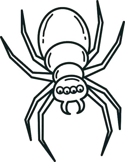 426x550 How To Draw A Spider Easy Draw Spider Easy