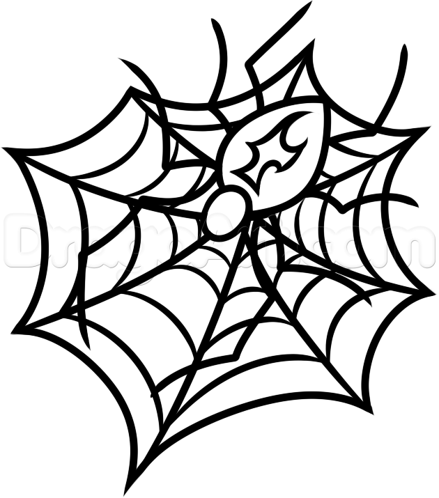 630x715 How To Draw A Spider And Web, Step