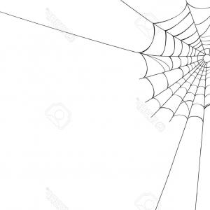 300x300 Black Silhouette Of A Spider Vector Orangiausa