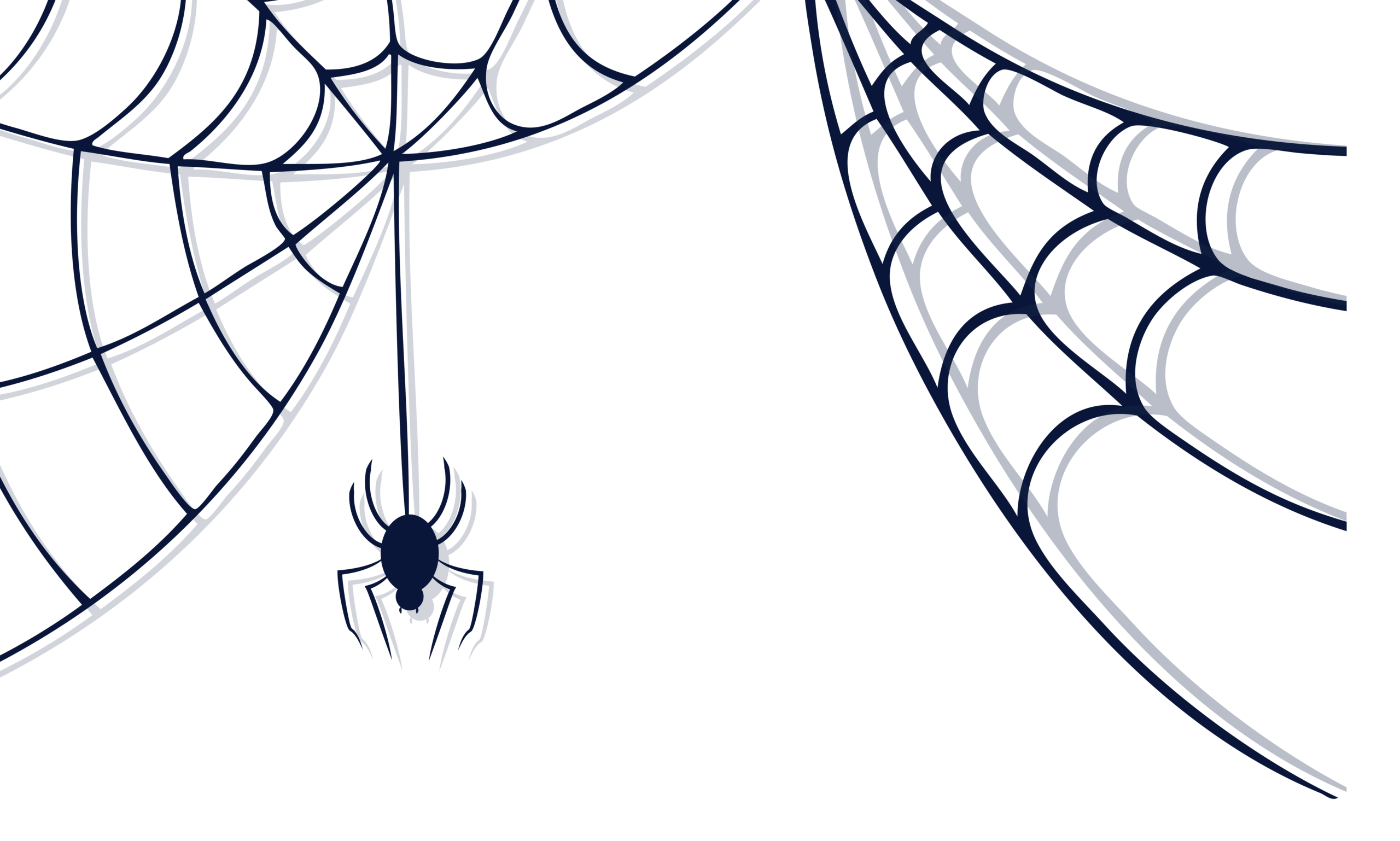2560x1538 Spiders Drawing Illusion Transparent Png Clipart Free Download