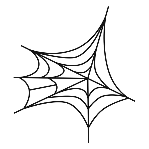 512x512 Spiderweb Thin Line Icon