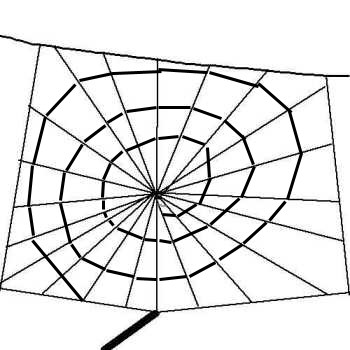 350x350 Construction Of A Spider Orb Web