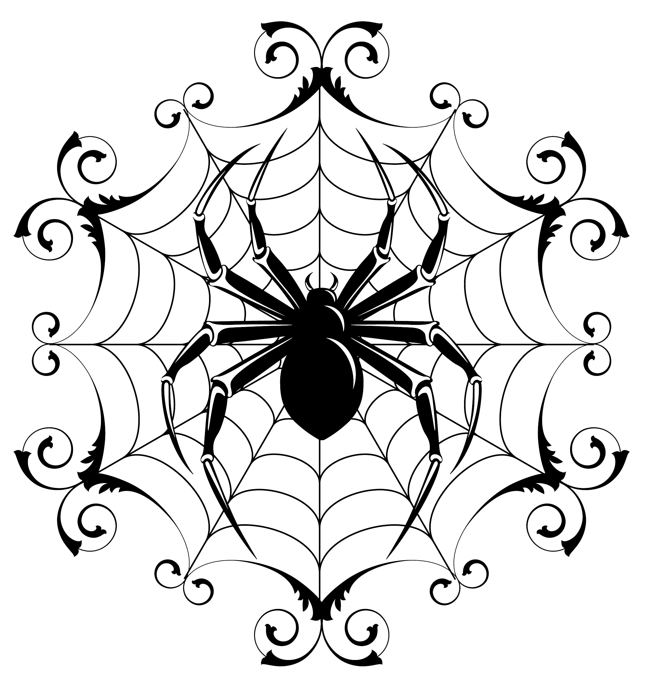 Spider Web Line Drawing | Free download on ClipArtMag