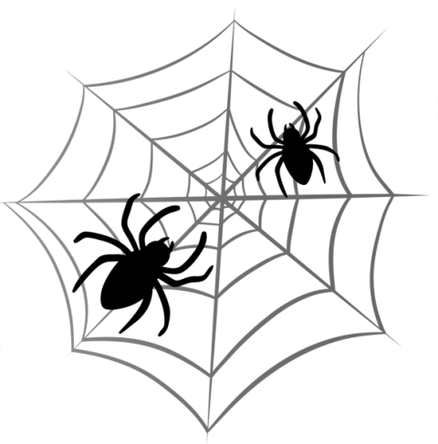 480x487 Drawing Halloween Spider Web Transparent Png Clipart Free