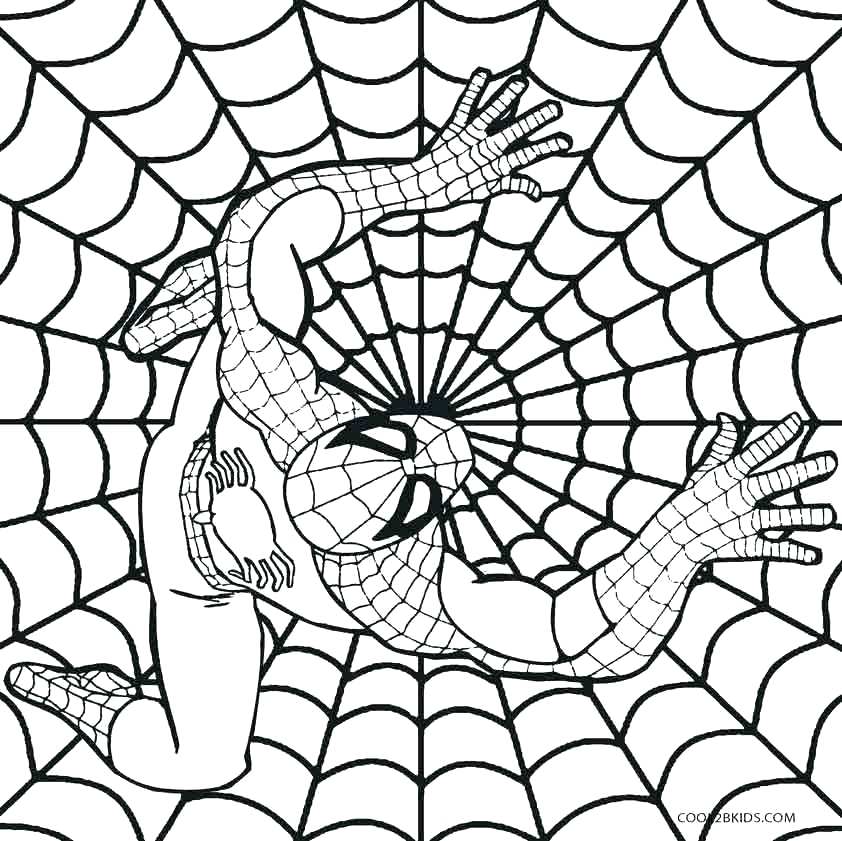 842x841 Spiderman Drawings For Kids How To Draw Step