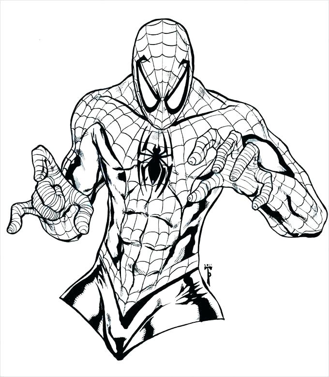 680x779 Spiderman Color