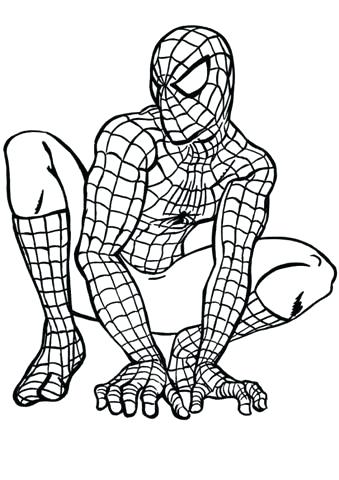 339x480 Baby Spiderman Coloring Pages
