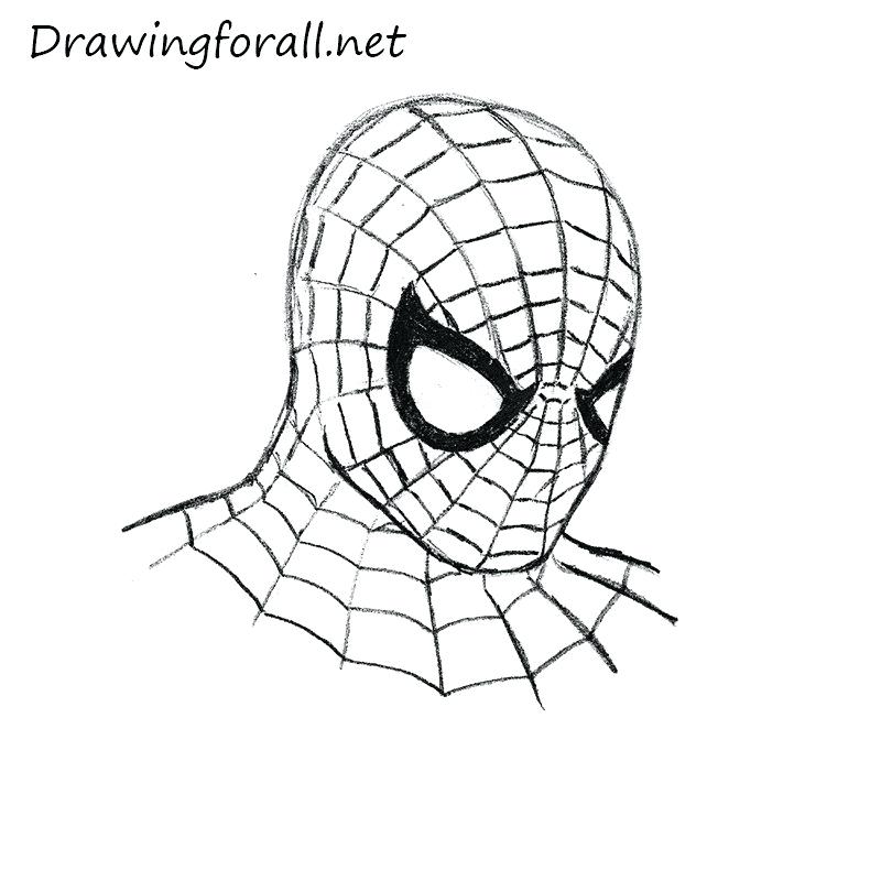 800x800 How To Draw Spiderman Mask How To Draw Spiderman Mask Easy