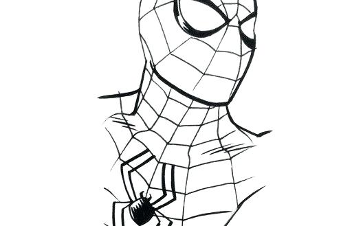 512x329 Drawing Spiderman Rahulsarkar