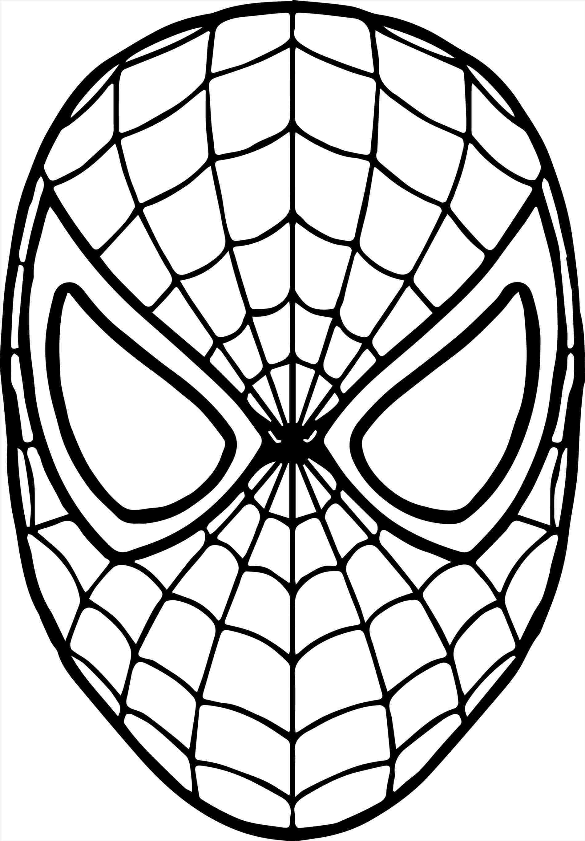 1900x2730 Steemitrhsteemitcom How To Draw The Amazing Spider Man Step