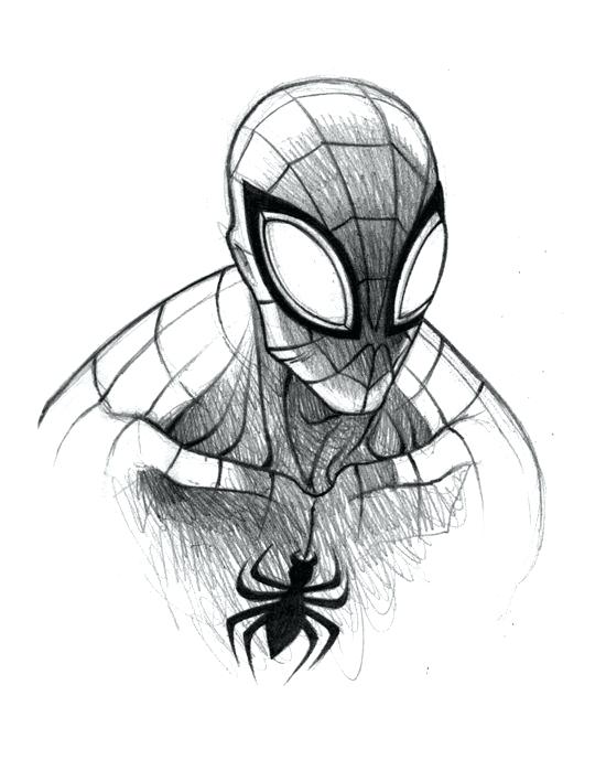550x689 Drawings Spiderman Easy Drawing Spiderman Drawings Easy Step