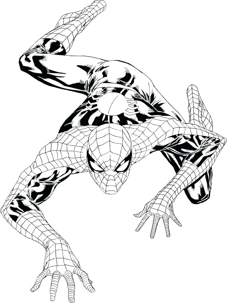 766x1024 Drawing Spiderman Drawing Who Climbs The Walls Coloring Pages